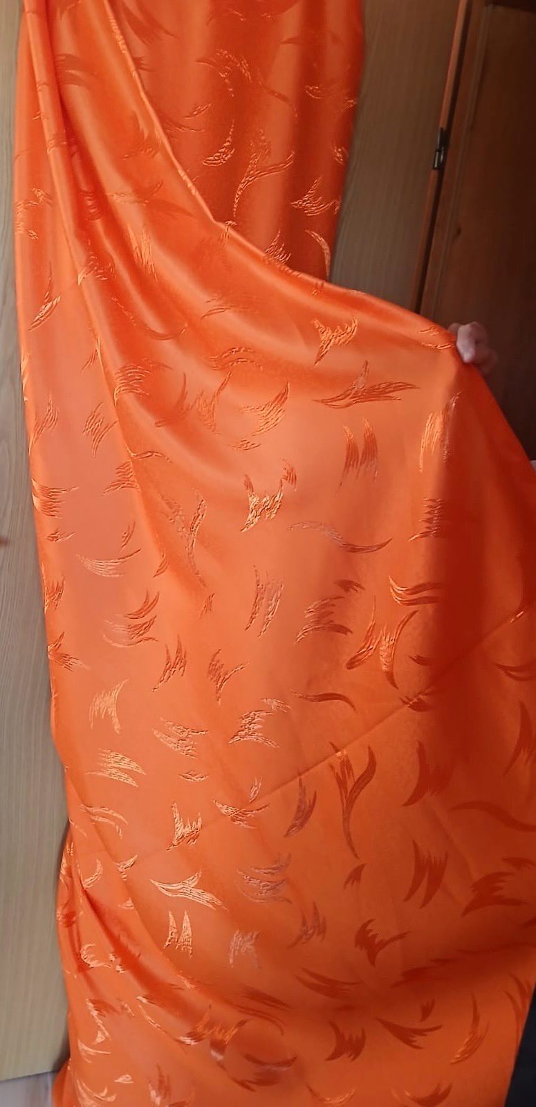 Paravni 1