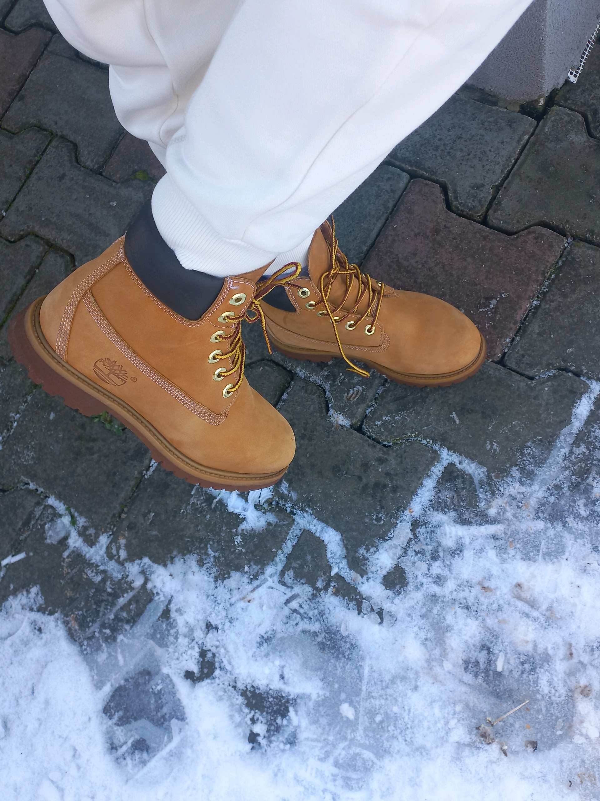 Timberland Cipele br. 36 0