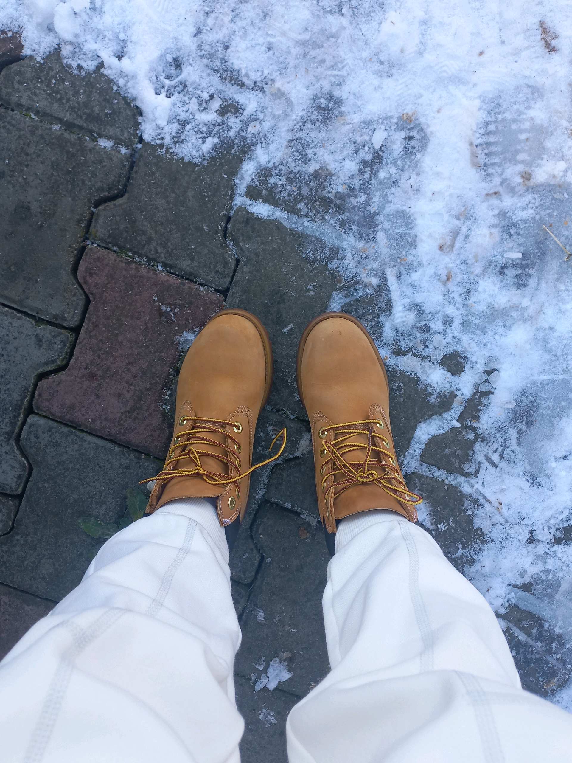 Timberland Cipele br. 36 1